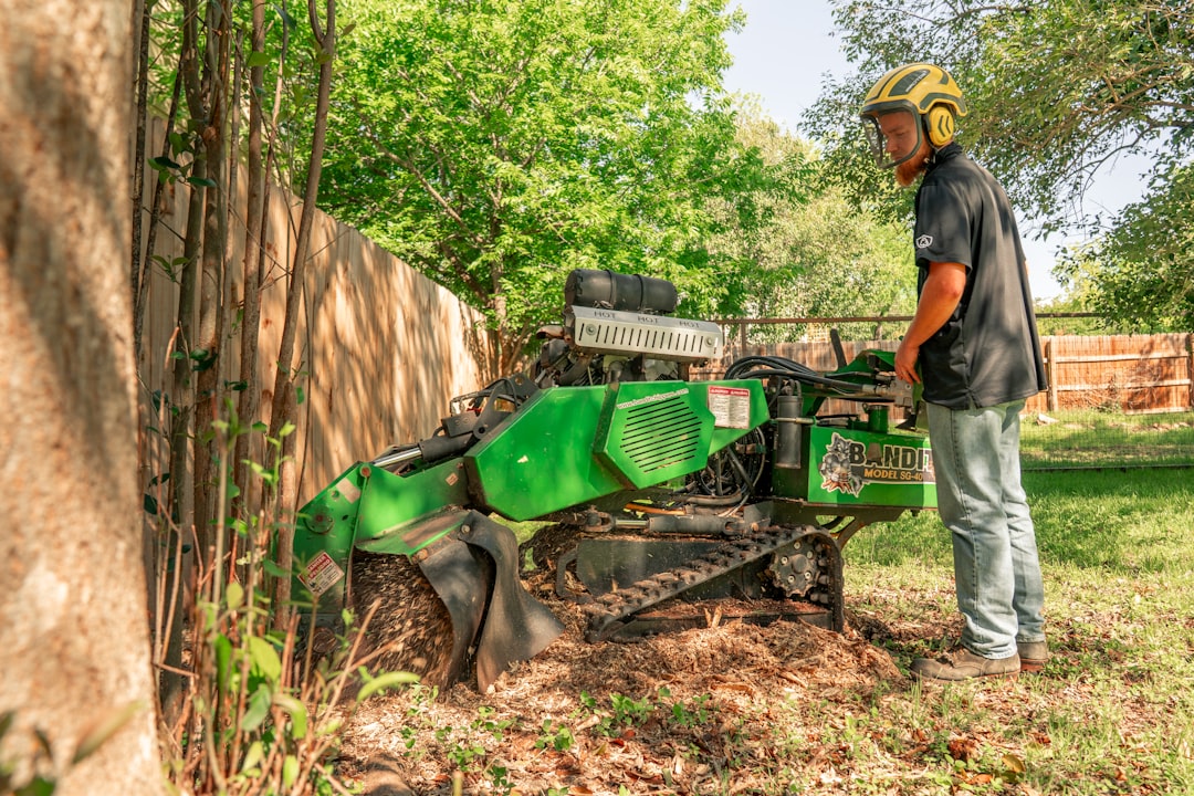 Tree Removal